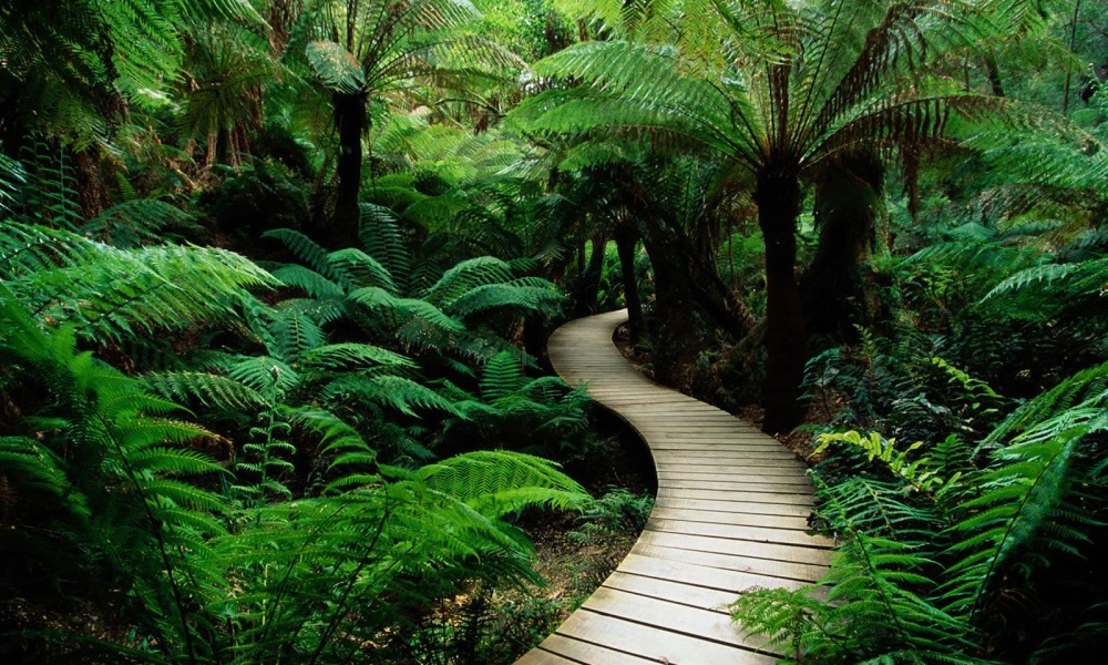 nature